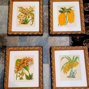 John Nugent Fitch Prints - Set of 4